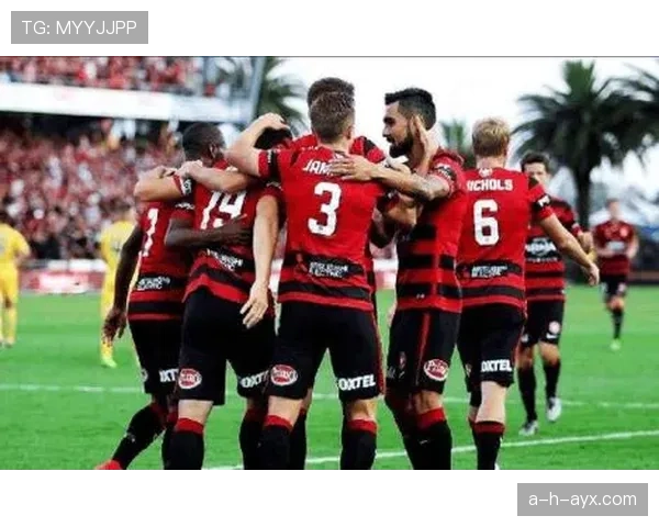 博洛尼亚状态回暖再展雄风，球迷热情高涨