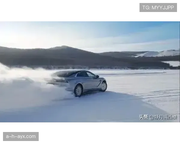 不来梅强势亮相,新赛季剑指更高目标 不来梅强势亮相,新赛季剑指更高目标