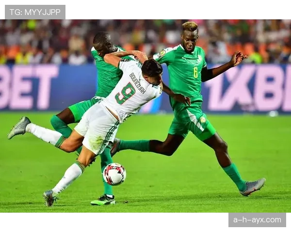 阿尔及利亚球队成功重组，蓄势引领非洲足球新时代